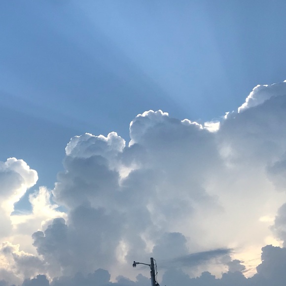 Meet your Posh Ambassador, Paula - Picture 5 of 16